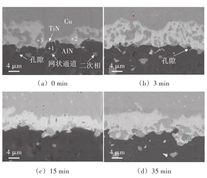 腐蚀时间截面SEM.png