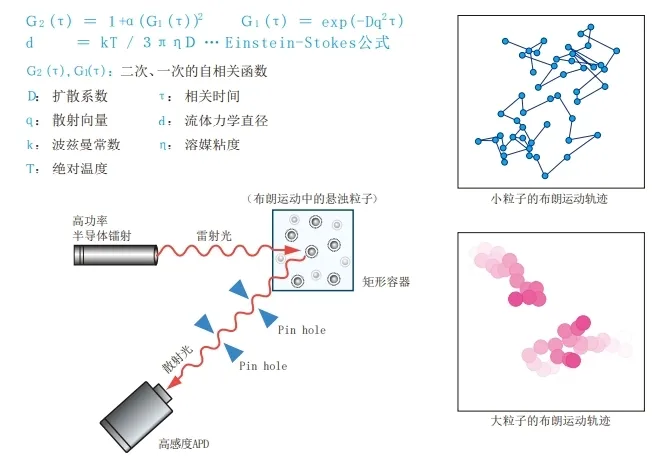 动态光散射法技术原理.png