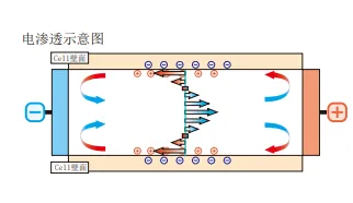 充分考虑电渗流后进行样品池内泳动速度的解析2.png