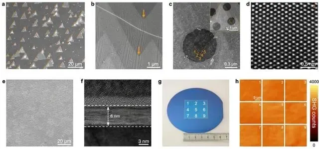取向一致的菱方氮化硼晶畴逐层无缝拼接形成均匀单晶薄膜.png